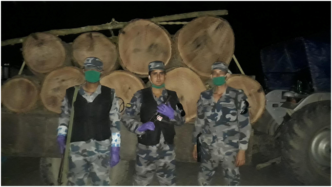arrested_wood
