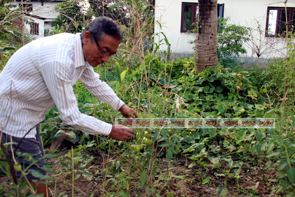 Chandi_rai_pathari