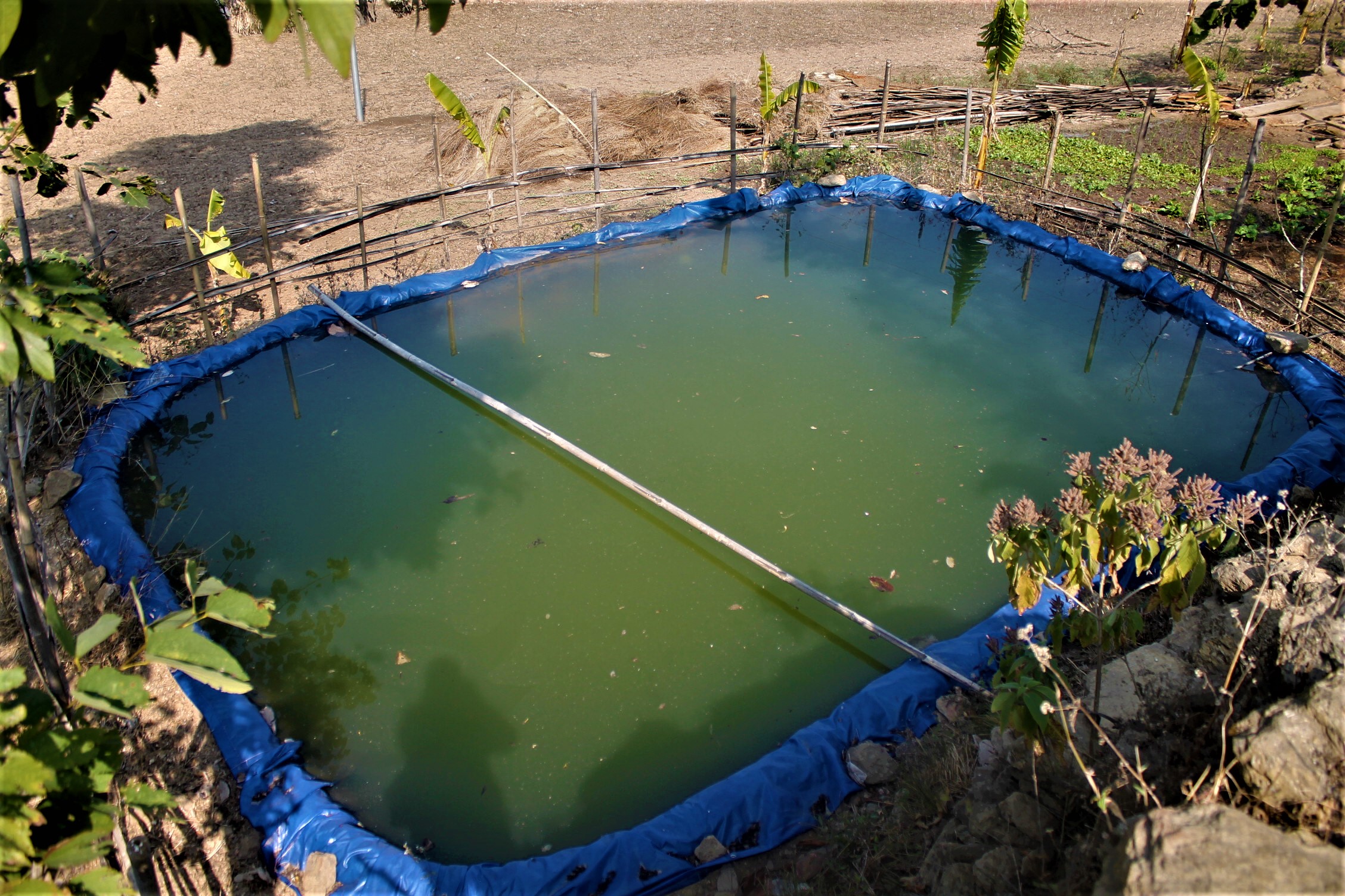 1. pani plastik