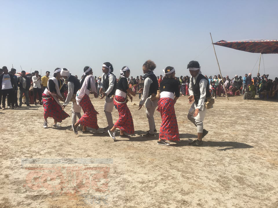 kosipuja3