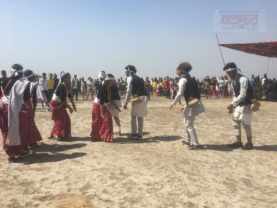 kosipuja4