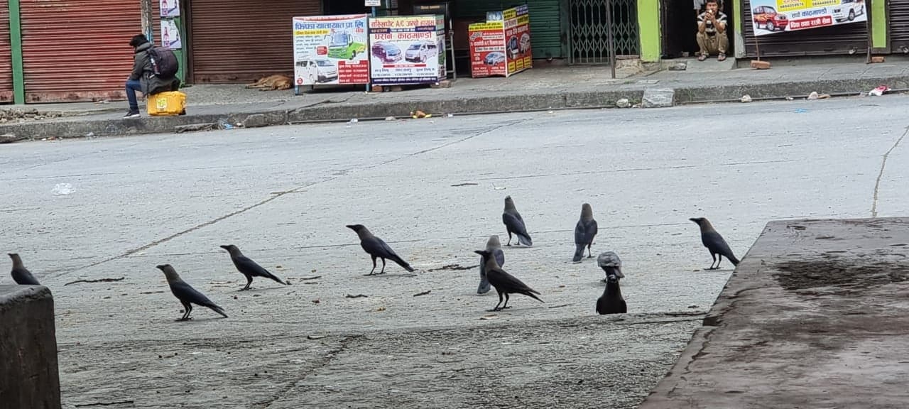 dharan_bandabandi (8)