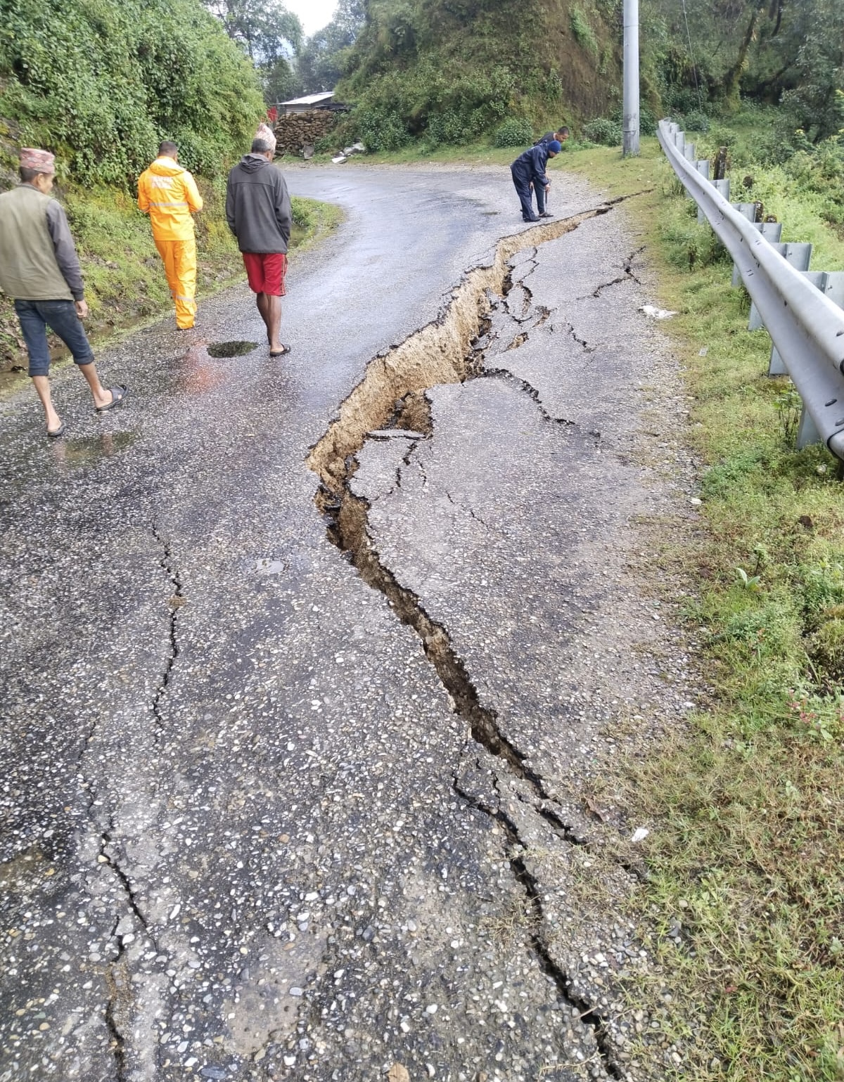 पहलमान सिंहस्वाँर मार्ग भासयिो